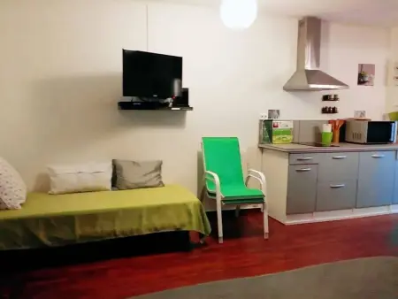 Studio 32 m² avec terrasse et vue montagne à Amélie-les-Bains : photo 5