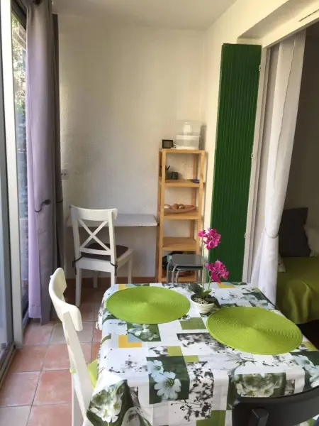 Studio 32 m² avec terrasse et vue montagne à Amélie-les-Bains : photo 10