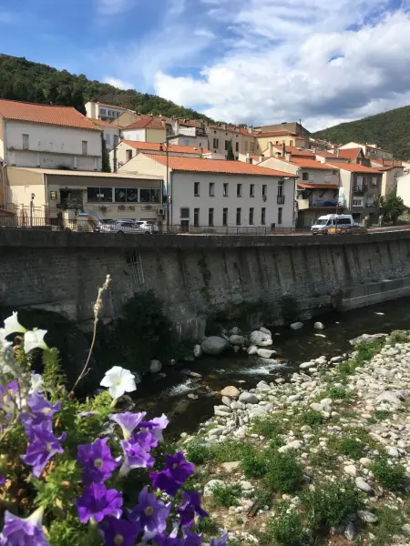 Studio 32 m² avec terrasse et vue montagne à Amélie-les-Bains : photo 21