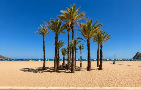 Appartement 1 chambre avec balcon et vue mer à Benidorm : photo 7