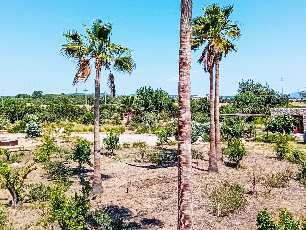 Hort des Padri, gîte 8 personnes, piscine à Marratxi - Photo 17