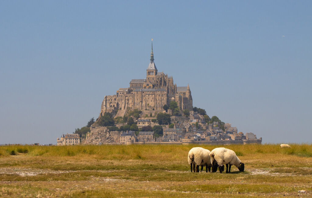 Git Ane – Maison 8 pers. baie Mont-Saint-Michel - Photo 33