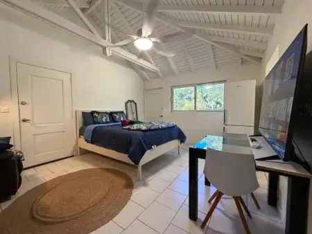 Studio 30 m² avec jardin clôturé et balançoire à Marigot : photo 1