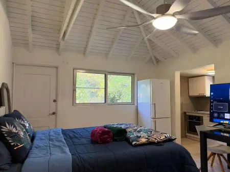 Studio 30 m² avec jardin clôturé et balançoire à Marigot : photo 3
