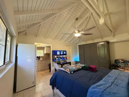 Studio 30 m² avec jardin clôturé et balançoire à Marigot : photo 4