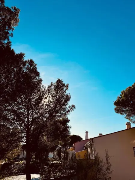 Appartement 28 m² avec piscine, Cap d'Agde (naturiste) : photo 15