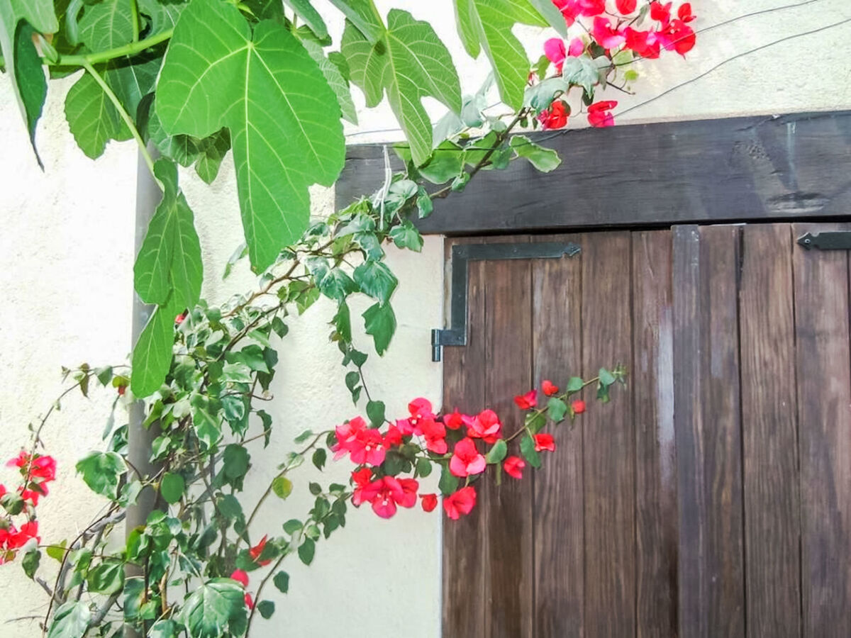 Maison rustique Testico avec jardin, terrasse et vue montagne - Photo 21