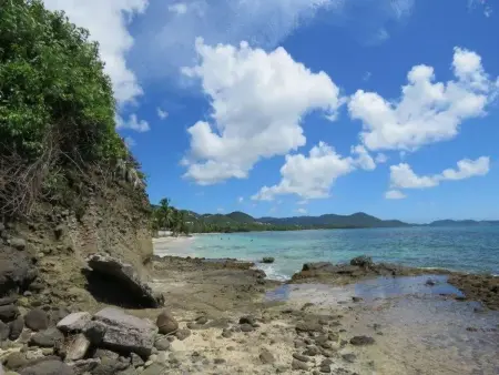 Studio climatisé face à la mer, accès direct plage, Sainte-Luce : photo 10