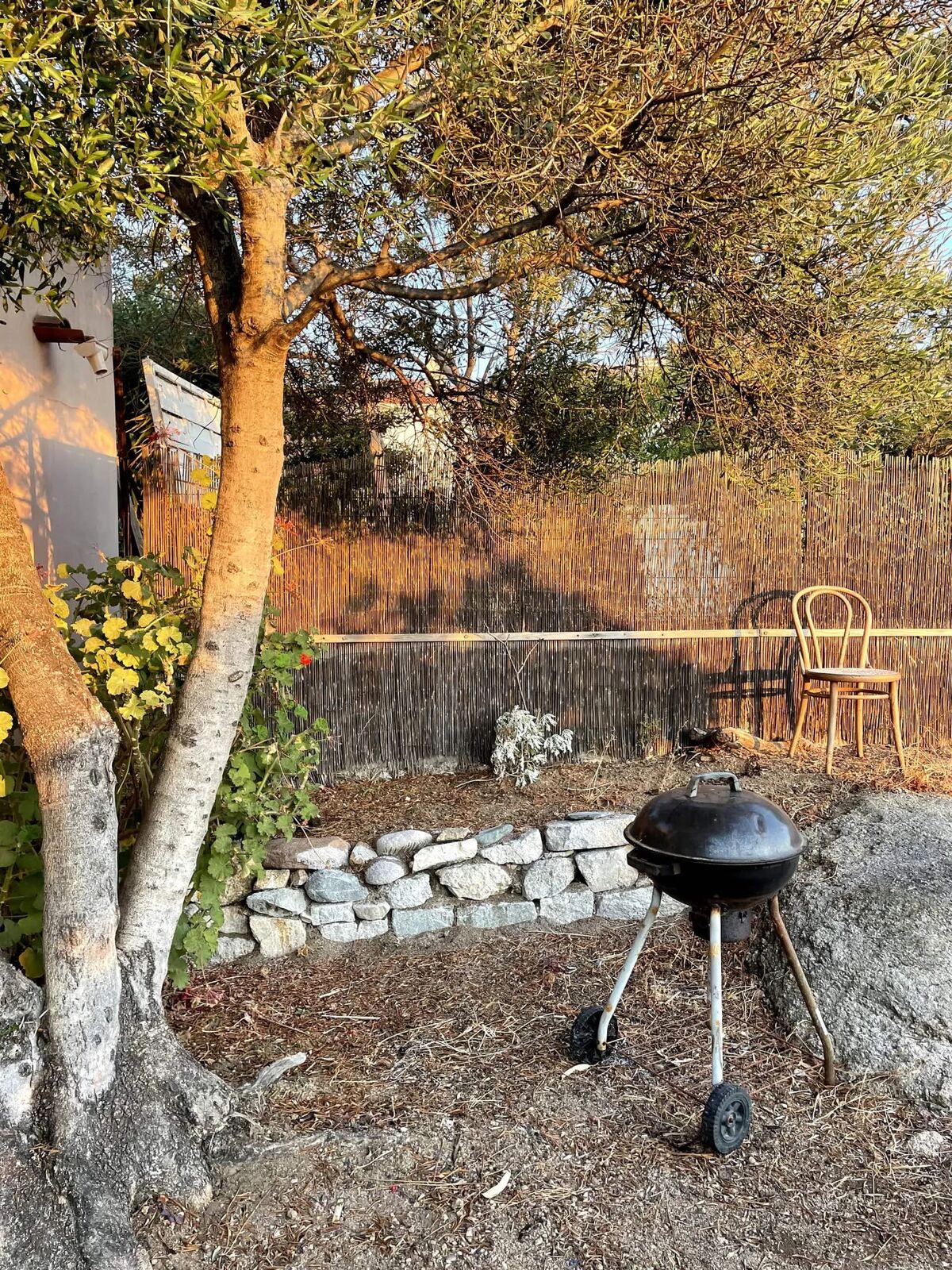 Studio 30 m² Calvi : terrasse, jardin et accès plage - Photo 22