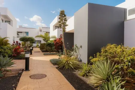 Maison 4 pers. à Villaverde : terrasse vue Lanzarote : photo 2