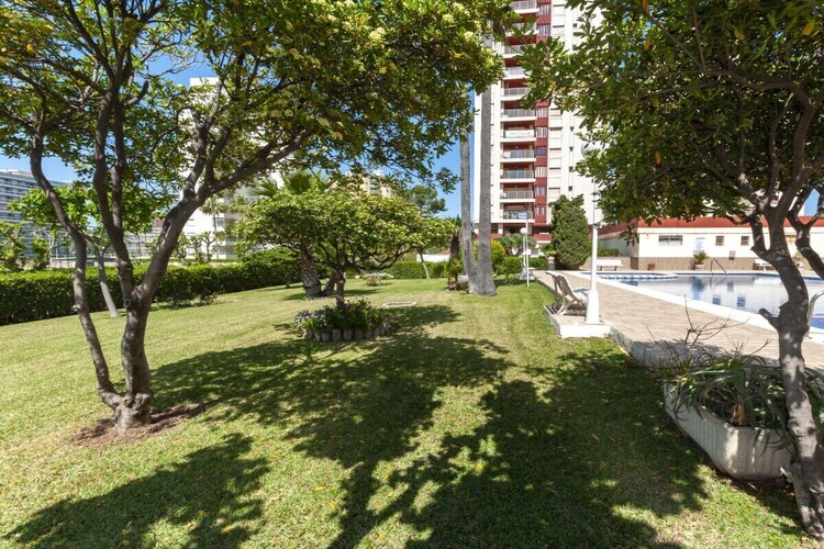 Appartement 4 pers. vue mer à Playa de Gandía - Photo 29