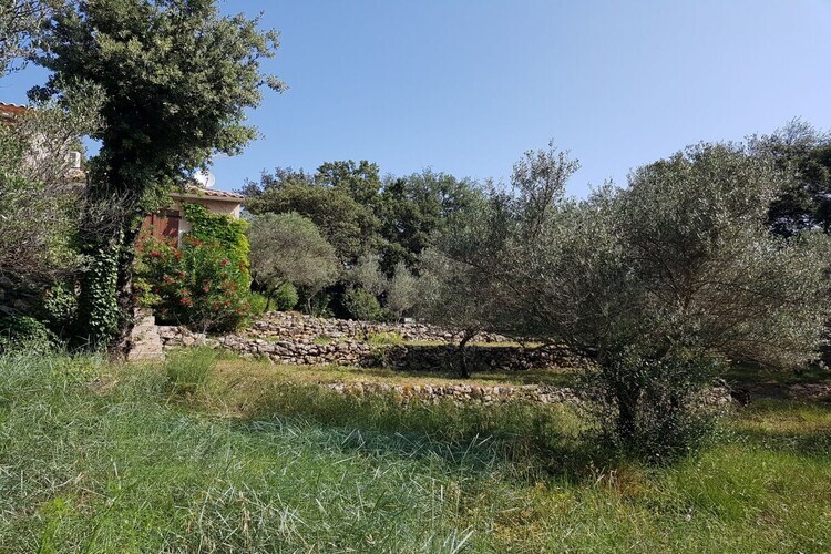 Maison Les Oliverons à Carcès, piscine et terrasse - Photo 8