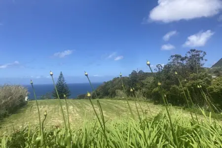 Maison avec vue mer et jardin 1500 m² à Lombas dos Mosteiros : photo 7