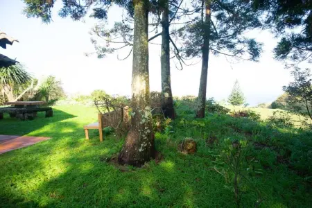 Maison avec vue mer et jardin 1500 m² à Lombas dos Mosteiros : photo 10