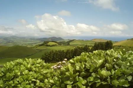 Maison avec vue mer et jardin 1500 m² à Lombas dos Mosteiros : photo 32