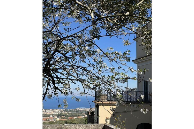 Villa 10 personnes vue mer entre Sorrente et Positano - Photo 14