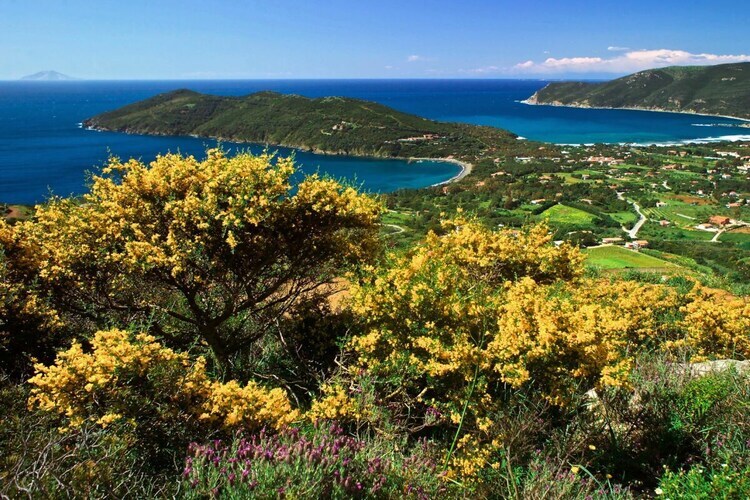 Apartement Maestrale à Portoferraio, vue golfe - Photo 2