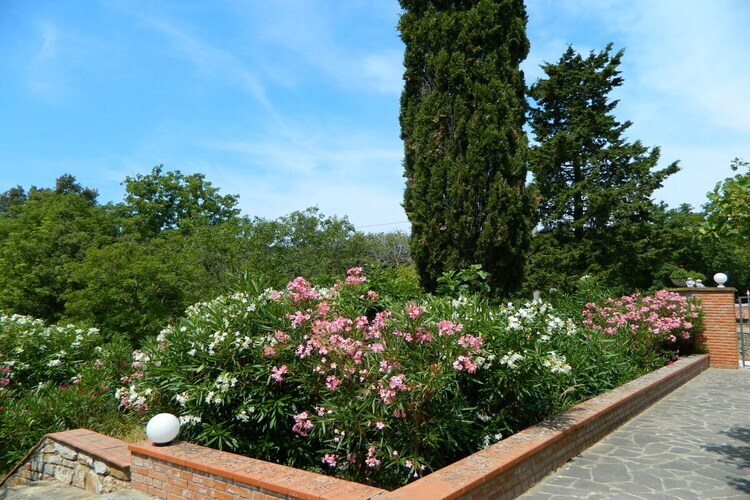 Maison avec piscine à Monteverdi Marittimo - Photo 9