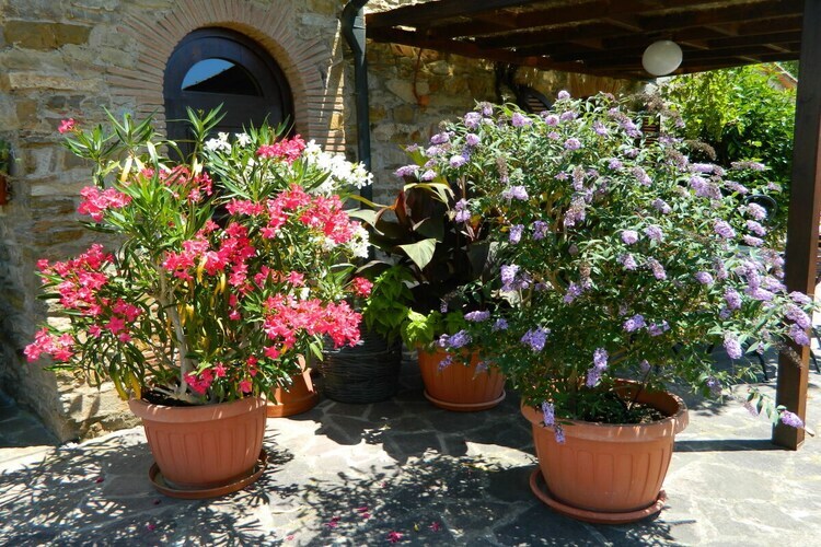 Maison avec piscine à Monteverdi Marittimo - Photo 14