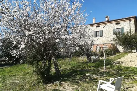Maison Fattoria avec vue mer et îles en Toscane : photo 3