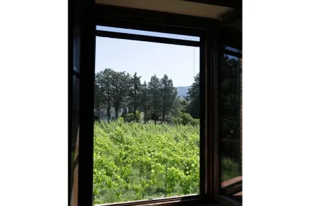Maison Fattoria avec vue mer et îles en Toscane : photo 4