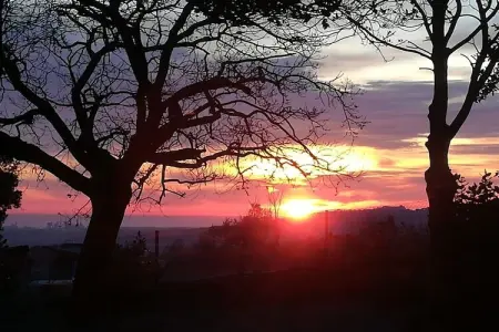 Maison Fattoria avec vue mer et îles en Toscane : photo 6
