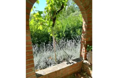 Maison Fattoria avec vue mer et îles en Toscane : photo 9
