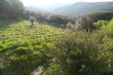 Maison Fattoria avec vue mer et îles en Toscane : photo 10