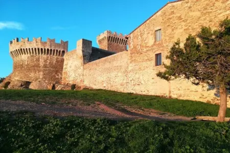 Maison Fattoria avec vue mer et îles en Toscane : photo 37