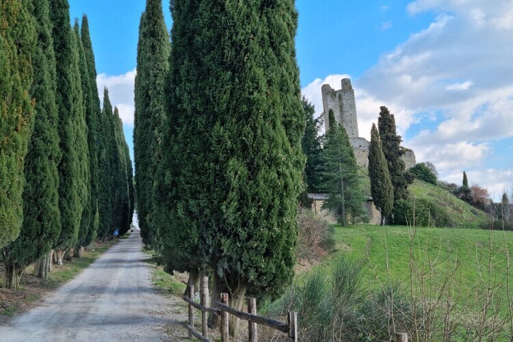 Casa Fantone, villa 5 chambres avec piscine à Poppi - Photo 38