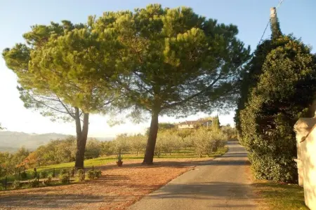 Maison toscane 75 m² avec jardin d'oliviers à Gambassi Terme : photo 3