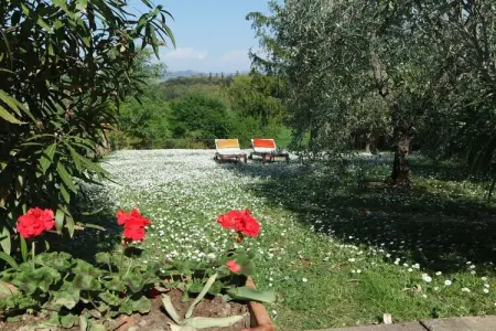 Maison toscane 75 m² avec jardin d'oliviers à Gambassi Terme : photo 7