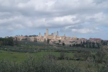Maison toscane 75 m² avec jardin d'oliviers à Gambassi Terme : photo 18