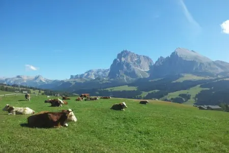 Appartement Siëla à St. Ulrich - maison écologique aux Dolomites : photo 32