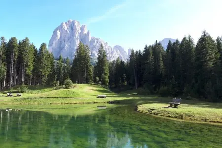 Appartement Siëla à St. Ulrich - maison écologique aux Dolomites : photo 33