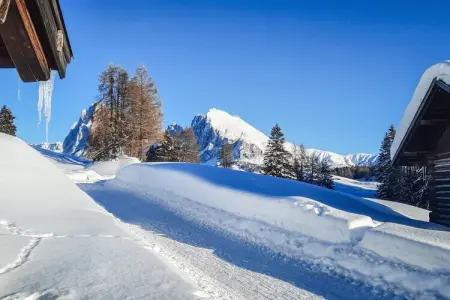 Appartement Siëla à St. Ulrich - maison écologique aux Dolomites : photo 40