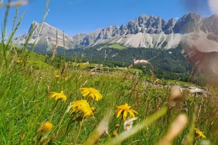 Maison vue Dolomites avec sauna à Brixen : photo 15