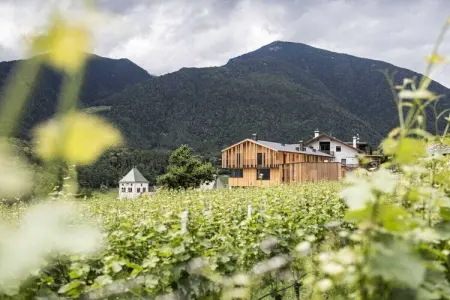 Maison de vacances Neustift, 6 personnes, jardin privé : photo 7