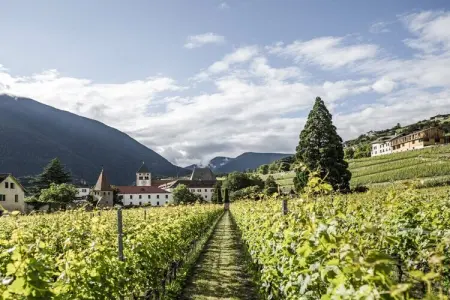 Maison de vacances Neustift, 6 personnes, jardin privé : photo 12