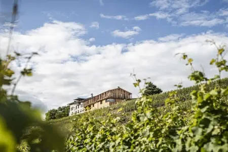 Maison de vacances Neustift, 6 personnes, jardin privé : photo 13