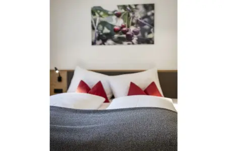 Maison de vacances Neustift, 6 personnes, jardin privé : photo 20