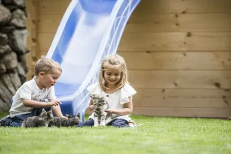 Maison de vacances Neustift, 6 personnes, jardin privé : photo 29