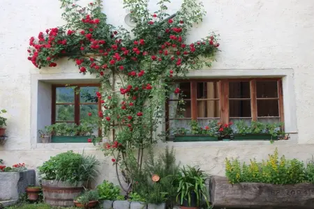 Ferme Ansitz Schloss Gravetsch à Villanders : photo 19