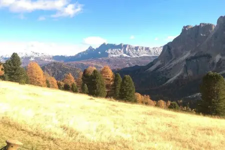 Maison de vacances indépendante à St. Martin in Thurn : photo 17
