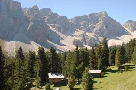 Maison de vacances indépendante à St. Martin in Thurn : photo 19