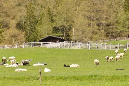 Maison écologique en paille à Graun, 6 personnes : photo 16