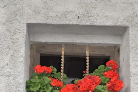 Gronda, appartement alpin avec 2 balcons à Graun : photo 36
