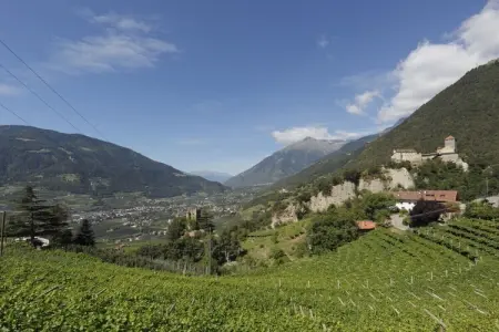 Maison de vacances Dorf Tirol, balcon 12 m² : photo 24