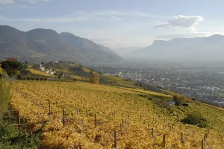 Maison de vacances Dorf Tirol, balcon 12 m² : photo 25