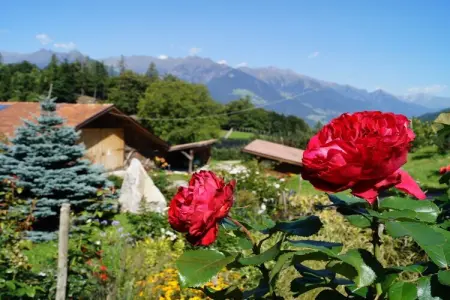 Wohlfühloase Grumserhof à Meran, 4 personnes : photo 4
